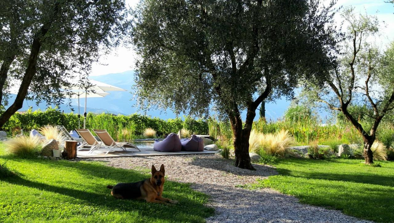 Agritur Fiore D'Ulivo 리바 델 이탈리아 베로나 외부 사진