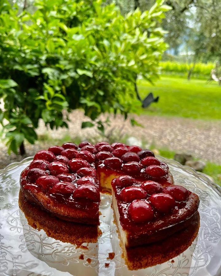 Agritur Fiore D'Ulivo 리바 델 이탈리아 베로나 외부 사진