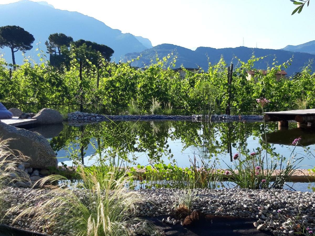 Agritur Fiore D'Ulivo 리바 델 이탈리아 베로나 외부 사진